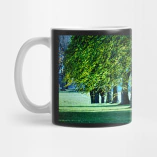 Sunlit Treeline Mug